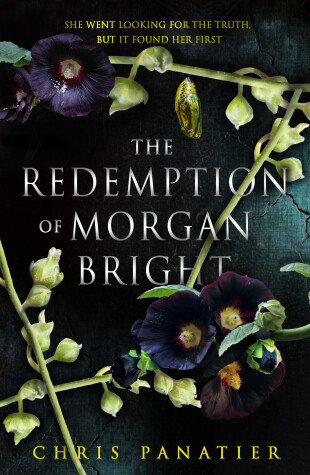 Book cover for The Redemption of Morgan Bright
