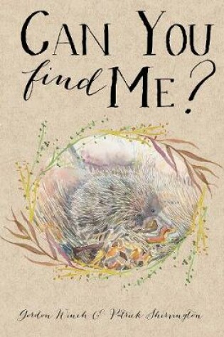 Cover of Can You Find Me?