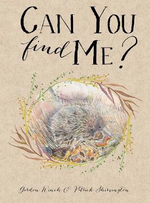 Book cover for Can You Find Me?