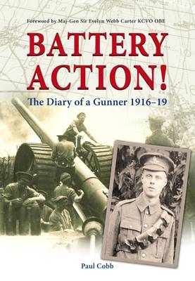 Book cover for Battery Action!