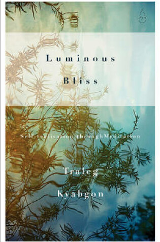 Cover of Luminous Bliss