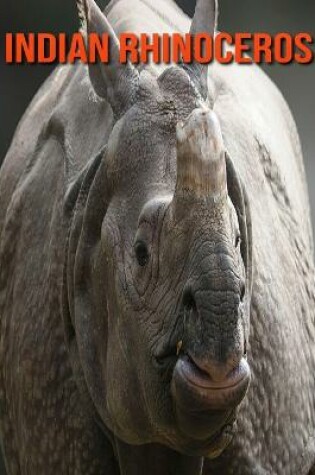 Cover of Indian Rhinoceros