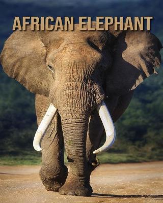 Book cover for African elephant