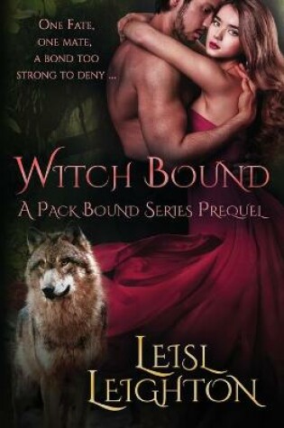Cover of Witch Bound