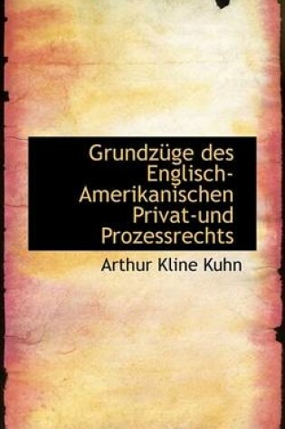 Cover of Grundzuge Des Englisch-Amerikanischen Privat-Und Prozessrechts