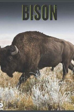 Cover of Bison 2021 Calendar