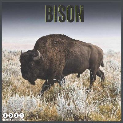 Book cover for Bison 2021 Calendar