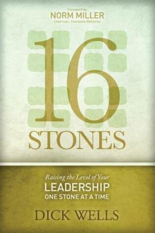 Cover of 16 Stones