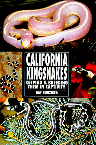 Cover of California Kingsnakes