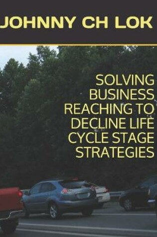 Cover of Solving Business Reaching to Decline Life Cycle Stage Strategies