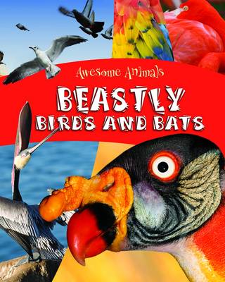 Book cover for Beastly Birds