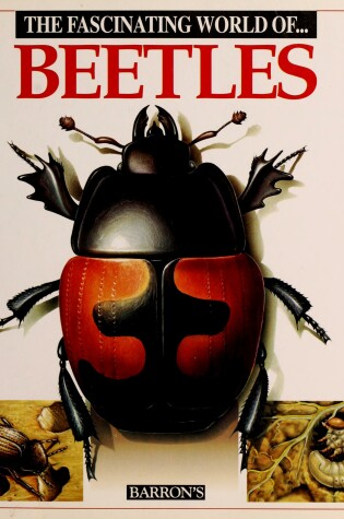 Cover of The Fascinating World of-- Beetles