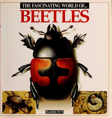 Book cover for The Fascinating World of-- Beetles