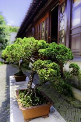 Book cover for Bonsai Tress on the Patio Journal