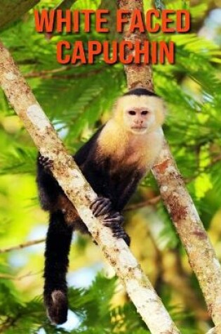 Cover of White Faced Capuchin