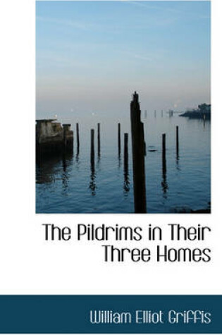 Cover of The Pildrims in Their Three Homes