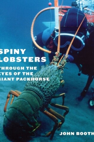 Cover of Spiny Lobsters