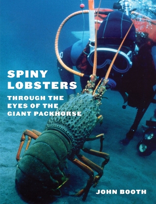 Book cover for Spiny Lobsters