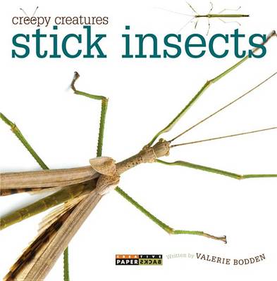 Cover of Stick Insects