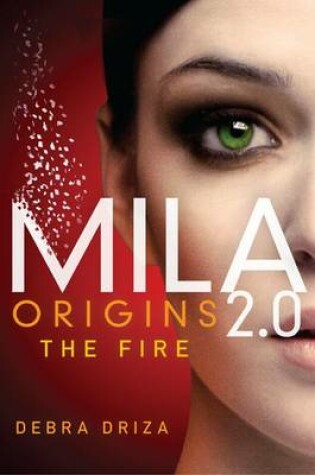 Cover of Origins: The Fire