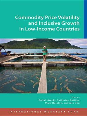 Book cover for Commodity Price Volatility and Inclusive Growth in Low-Income Countries