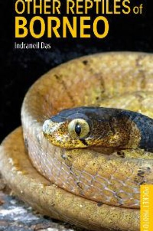 Cover of Snakes and Other Reptiles of Borneo