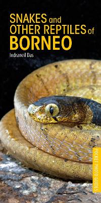 Book cover for Snakes and Other Reptiles of Borneo