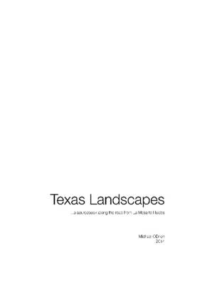 Book cover for Texas Landscapes