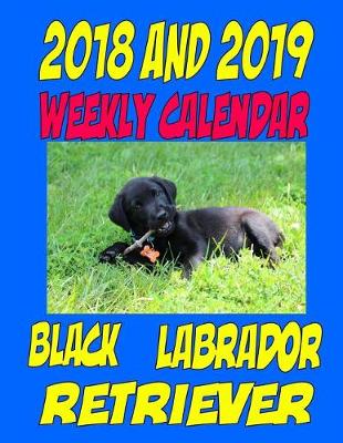 Book cover for 2018 and 2019 Weekly Calendar Black Labrador Retriever