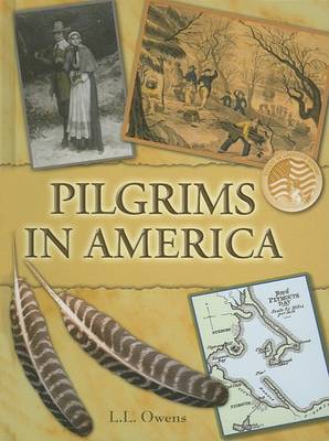 Book cover for Pilgrims in America