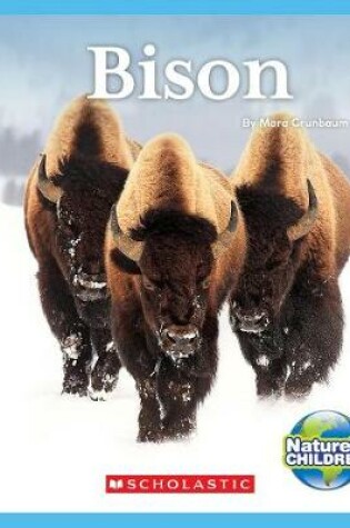 Cover of Bison (Nature's Children)