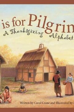 Cover of P Is for Pilgrim