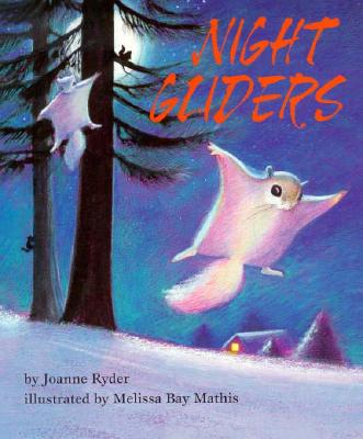 Book cover for Night Gliders - Pbk