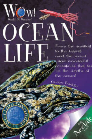 Cover of Ocean Life