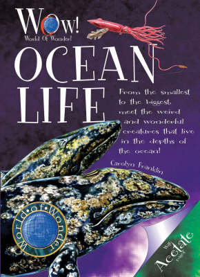 Cover of Ocean Life