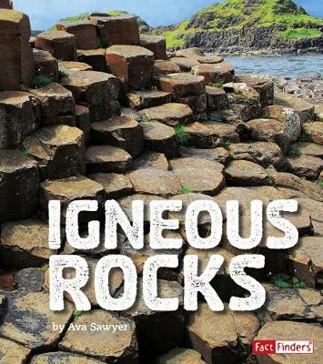 Book cover for Igneous Rocks