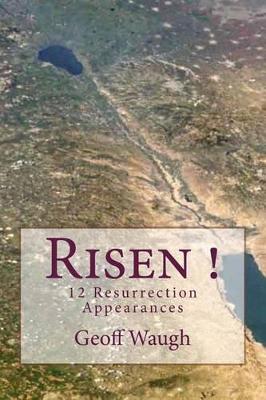 Book cover for Risen! 12 Resurrection Appearances