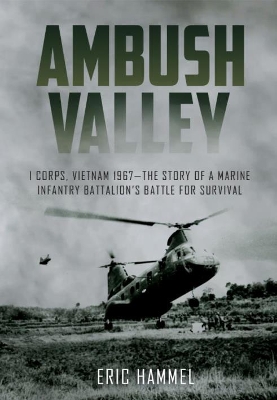 Book cover for Ambush Valley