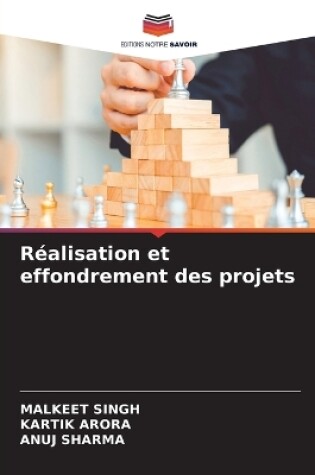 Cover of Réalisation et effondrement des projets