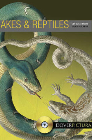Cover of Snakes and Reptiles