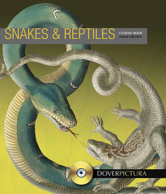 Book cover for Snakes and Reptiles