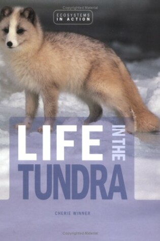 Cover of Life in the Tundra