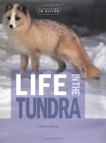 Book cover for Life in the Tundra