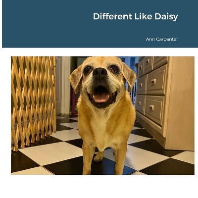 Cover of Different Like Daisy