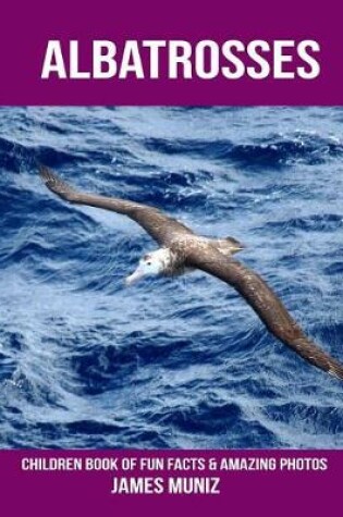 Cover of Albatrosses