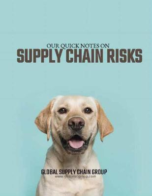 Book cover for Our Quick Notes on Supply Chain Risks