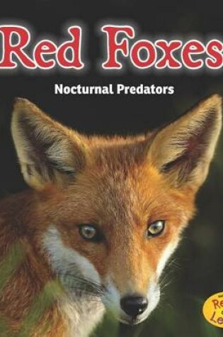Cover of Red Foxes: Nocturnal Predators (Night Safari)