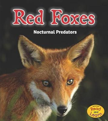 Book cover for Night Safari Red Foxes Nocturnal Predators