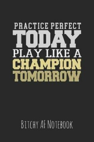 Cover of Practice Perfect Today Play Like a Champion Tomorrow