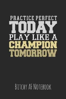 Book cover for Practice Perfect Today Play Like a Champion Tomorrow